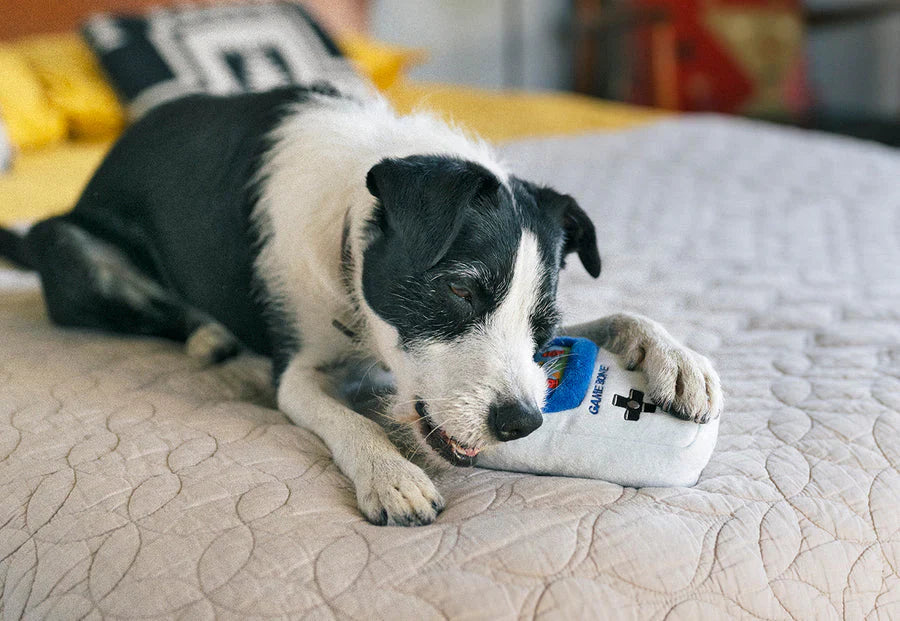 Game Bone - Dog Toy