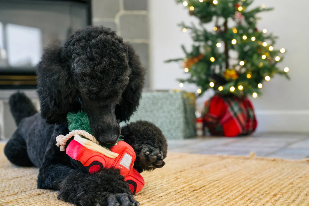 Home for the Holidays Holiday Hauler Plush Dog Toy