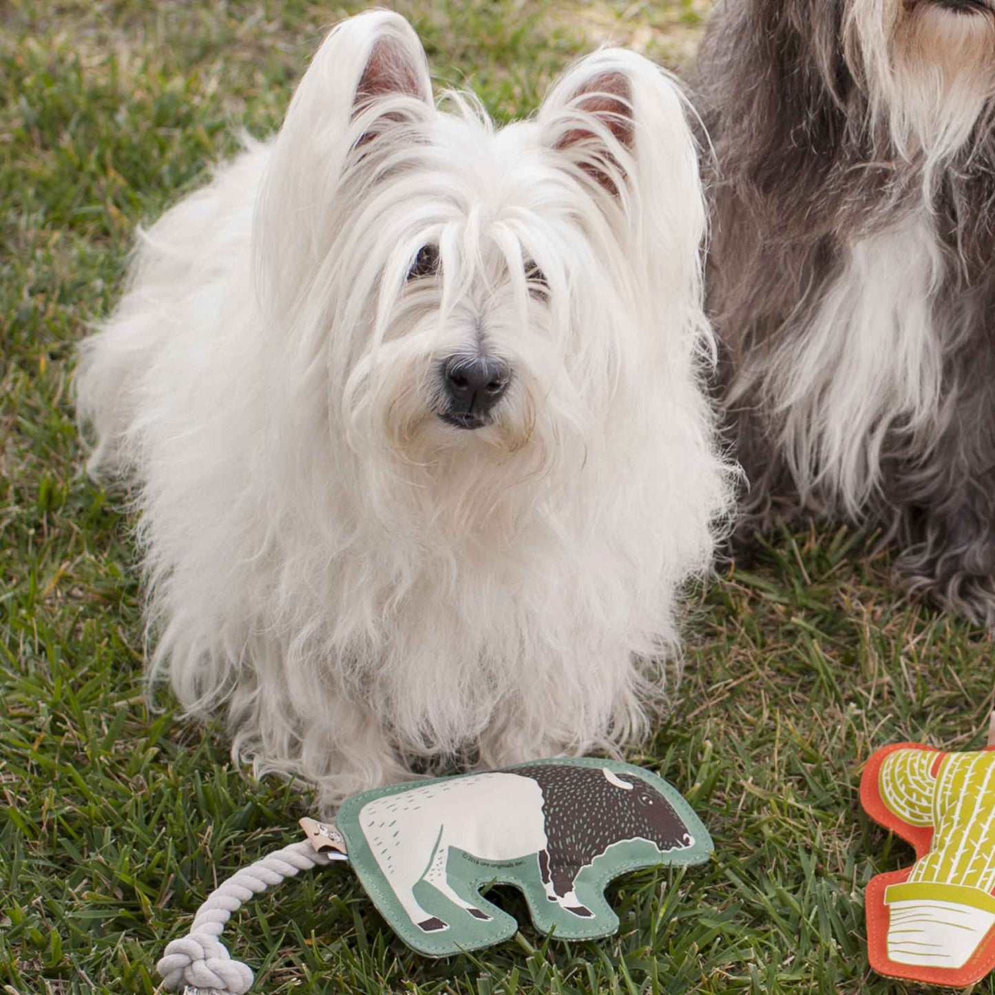 Buffalo Rope Dog Toy